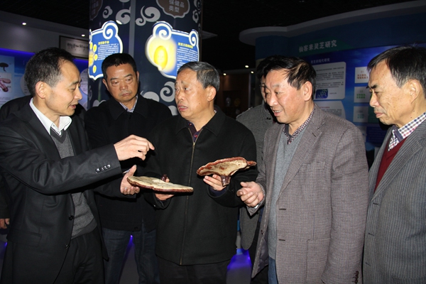 杭州亞運會官方靈芝產(chǎn)品供應(yīng)商|杭州亞運會官方供應(yīng)商|中國靈芝十大品牌|仙客來靈芝|仙客來靈芝破壁孢子粉|仙客來孢子油|仙客來靈芝飲片|仙客來破壁孢子粉|靈芝孢子油|孢子粉|靈芝破壁孢子粉|靈芝|中華老字號 杭州亞運會官方靈芝產(chǎn)品供應(yīng)商|杭州亞運會官方供應(yīng)商|中國靈芝十大品牌|仙客來靈芝|仙客來靈芝破壁孢子粉|仙客來孢子油|仙客來靈芝飲片|仙客來破壁孢子粉|靈芝孢子油|孢子粉|靈芝破壁孢子粉|靈芝|中華老字號