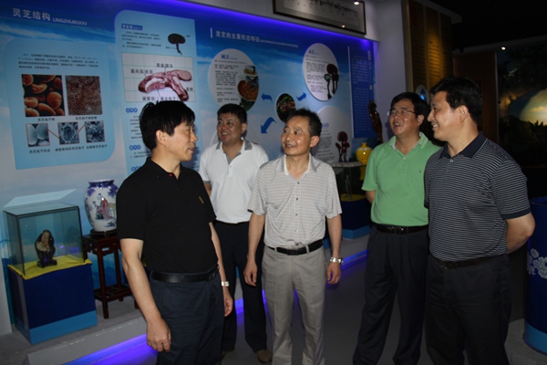 杭州亞運會官方靈芝產(chǎn)品供應(yīng)商|杭州亞運會官方供應(yīng)商|中國靈芝十大品牌|仙客來靈芝|仙客來靈芝破壁孢子粉|仙客來孢子油|仙客來靈芝飲片|仙客來破壁孢子粉|靈芝孢子油|孢子粉|靈芝破壁孢子粉|靈芝|中華老字號 杭州亞運會官方靈芝產(chǎn)品供應(yīng)商|杭州亞運會官方供應(yīng)商|中國靈芝十大品牌|仙客來靈芝|仙客來靈芝破壁孢子粉|仙客來孢子油|仙客來靈芝飲片|仙客來破壁孢子粉|靈芝孢子油|孢子粉|靈芝破壁孢子粉|靈芝|中華老字號