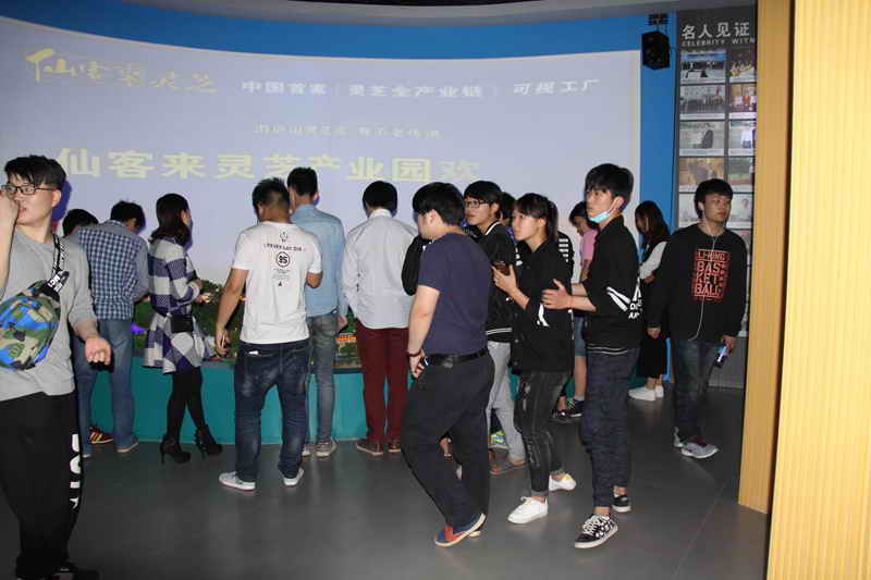 杭州亞運(yùn)會(huì)官方靈芝產(chǎn)品供應(yīng)商|杭州亞運(yùn)會(huì)官方供應(yīng)商|中國(guó)靈芝十大品牌|仙客來靈芝|仙客來靈芝破壁孢子粉|仙客來孢子油|仙客來靈芝飲片|仙客來破壁孢子粉|靈芝孢子油|孢子粉|靈芝破壁孢子粉|靈芝|中華老字號(hào) 杭州亞運(yùn)會(huì)官方靈芝產(chǎn)品供應(yīng)商|杭州亞運(yùn)會(huì)官方供應(yīng)商|中國(guó)靈芝十大品牌|仙客來靈芝|仙客來靈芝破壁孢子粉|仙客來孢子油|仙客來靈芝飲片|仙客來破壁孢子粉|靈芝孢子油|孢子粉|靈芝破壁孢子粉|靈芝|中華老字號(hào)