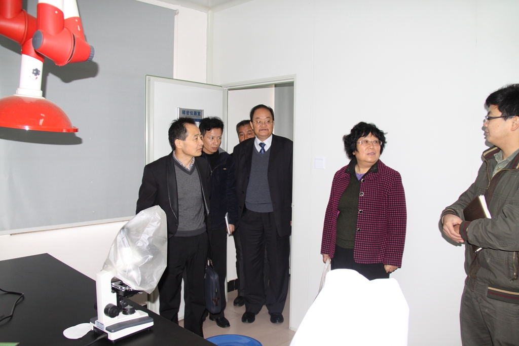 杭州亞運會官方靈芝產(chǎn)品供應(yīng)商|杭州亞運會官方供應(yīng)商|中國靈芝十大品牌|仙客來靈芝|仙客來靈芝破壁孢子粉|仙客來孢子油|仙客來靈芝飲片|仙客來破壁孢子粉|靈芝孢子油|孢子粉|靈芝破壁孢子粉|靈芝|中華老字號