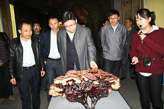 杭州亞運會官方靈芝產(chǎn)品供應商|杭州亞運會官方供應商|中國靈芝十大品牌|仙客來靈芝|仙客來靈芝破壁孢子粉|仙客來孢子油|仙客來靈芝飲片|仙客來破壁孢子粉|靈芝孢子油|孢子粉|靈芝破壁孢子粉|靈芝|中華老字號