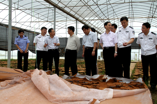 杭州亞運會官方靈芝產(chǎn)品供應商|杭州亞運會官方供應商|中國靈芝十大品牌|仙客來靈芝|仙客來靈芝破壁孢子粉|仙客來孢子油|仙客來靈芝飲片|仙客來破壁孢子粉|靈芝孢子油|孢子粉|靈芝破壁孢子粉|靈芝|中華老字號 杭州亞運會官方靈芝產(chǎn)品供應商|杭州亞運會官方供應商|中國靈芝十大品牌|仙客來靈芝|仙客來靈芝破壁孢子粉|仙客來孢子油|仙客來靈芝飲片|仙客來破壁孢子粉|靈芝孢子油|孢子粉|靈芝破壁孢子粉|靈芝|中華老字號