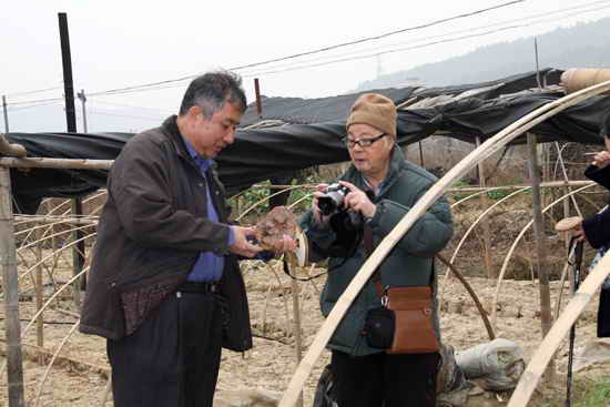 杭州亞運(yùn)會(huì)官方靈芝產(chǎn)品供應(yīng)商|杭州亞運(yùn)會(huì)官方供應(yīng)商|中國靈芝十大品牌|仙客來靈芝|仙客來靈芝破壁孢子粉|仙客來孢子油|仙客來靈芝飲片|仙客來破壁孢子粉|靈芝孢子油|孢子粉|靈芝破壁孢子粉|靈芝|中華老字號(hào) 杭州亞運(yùn)會(huì)官方靈芝產(chǎn)品供應(yīng)商|杭州亞運(yùn)會(huì)官方供應(yīng)商|中國靈芝十大品牌|仙客來靈芝|仙客來靈芝破壁孢子粉|仙客來孢子油|仙客來靈芝飲片|仙客來破壁孢子粉|靈芝孢子油|孢子粉|靈芝破壁孢子粉|靈芝|中華老字號(hào)