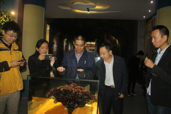 杭州亞運(yùn)會(huì)官方靈芝產(chǎn)品供應(yīng)商|杭州亞運(yùn)會(huì)官方供應(yīng)商|中國靈芝十大品牌|仙客來靈芝|仙客來靈芝破壁孢子粉|仙客來孢子油|仙客來靈芝飲片|仙客來破壁孢子粉|靈芝孢子油|孢子粉|靈芝破壁孢子粉|靈芝|中華老字號