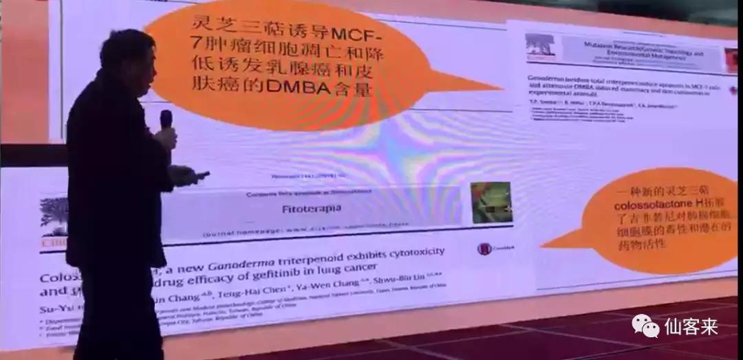 杭州亞運會官方靈芝產(chǎn)品供應商|杭州亞運會官方供應商|中國靈芝十大品牌|仙客來靈芝|仙客來靈芝破壁孢子粉|仙客來孢子油|仙客來靈芝飲片|仙客來破壁孢子粉|靈芝孢子油|孢子粉|靈芝破壁孢子粉|靈芝|中華老字號