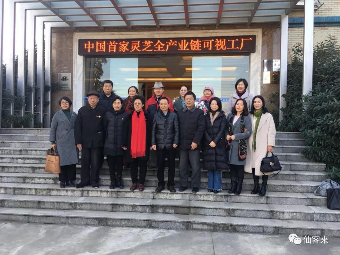 中國靈芝十大品牌|仙客來靈芝|仙客來靈芝破壁孢子粉|仙客來孢子油|仙客來靈芝飲片|仙客來破壁孢子粉|仙客來靈芝中藥飲片|馳名商標(biāo)|m.stfilm.cn|