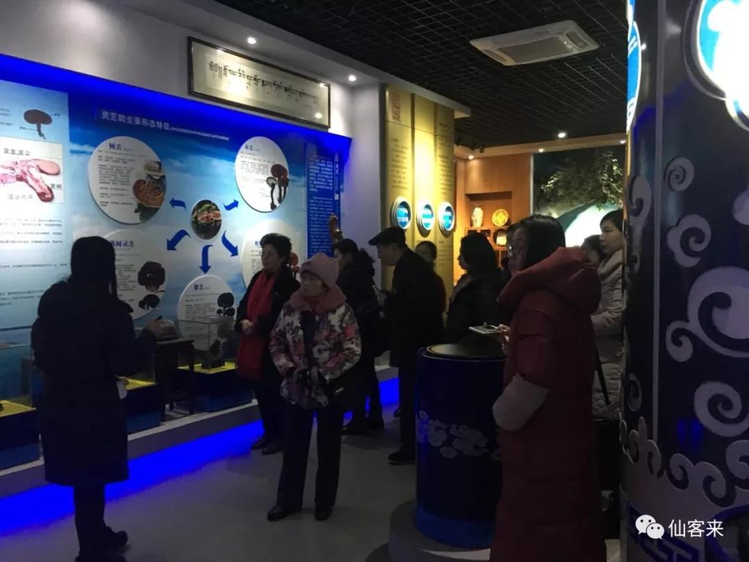 中國靈芝十大品牌|仙客來靈芝|仙客來靈芝破壁孢子粉|仙客來孢子油|仙客來靈芝飲片|仙客來破壁孢子粉|仙客來靈芝中藥飲片|馳名商標(biāo)|m.stfilm.cn|