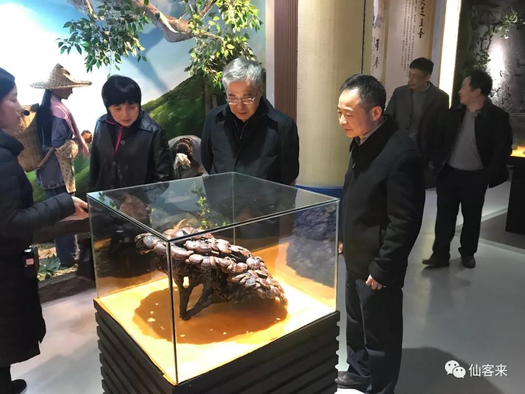 中國(guó)靈芝十大品牌|仙客來(lái)靈芝|仙客來(lái)靈芝破壁孢子粉|仙客來(lái)孢子油|仙客來(lái)靈芝飲片|仙客來(lái)破壁孢子粉|仙客來(lái)靈芝中藥飲片|馳名商標(biāo)|m.stfilm.cn|