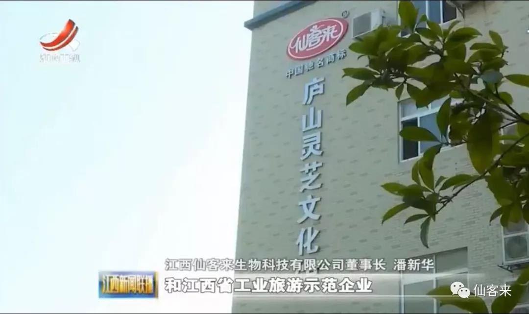 中國(guó)靈芝十大品牌|仙客來(lái)靈芝|仙客來(lái)靈芝破壁孢子粉|仙客來(lái)孢子油|仙客來(lái)靈芝飲片|仙客來(lái)破壁孢子粉|仙客來(lái)靈芝中藥飲片|馳名商標(biāo)|m.stfilm.cn|