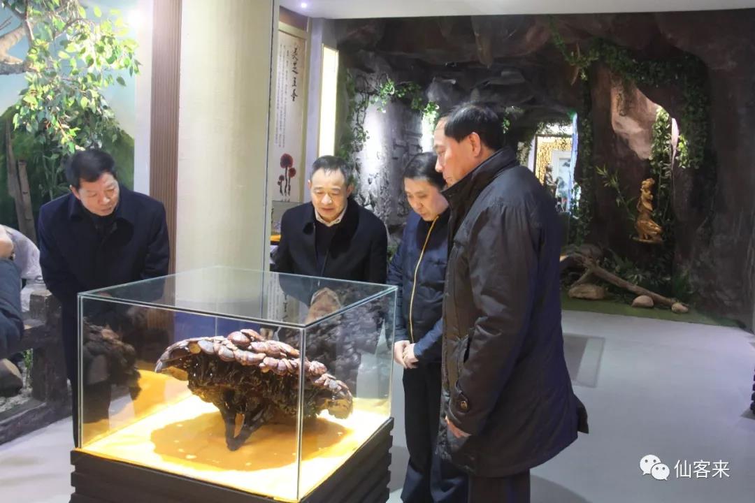 中國靈芝十大品牌|仙客來靈芝|仙客來靈芝破壁孢子粉|仙客來孢子油|仙客來靈芝飲片|仙客來破壁孢子粉|仙客來靈芝中藥飲片|馳名商標(biāo)|m.stfilm.cn| 中國靈芝十大品牌|仙客來靈芝|仙客來靈芝破壁孢子粉|仙客來孢子油|仙客來靈芝飲片|仙客來破壁孢子粉|仙客來靈芝中藥飲片|馳名商標(biāo)|m.stfilm.cn|