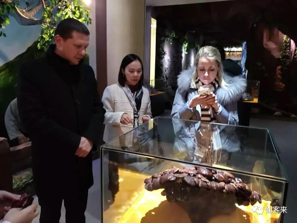 中國(guó)靈芝十大品牌|仙客來(lái)靈芝|仙客來(lái)靈芝破壁孢子粉|仙客來(lái)孢子油|仙客來(lái)靈芝飲片|仙客來(lái)破壁孢子粉|仙客來(lái)靈芝中藥飲片|馳名商標(biāo)|m.stfilm.cn|