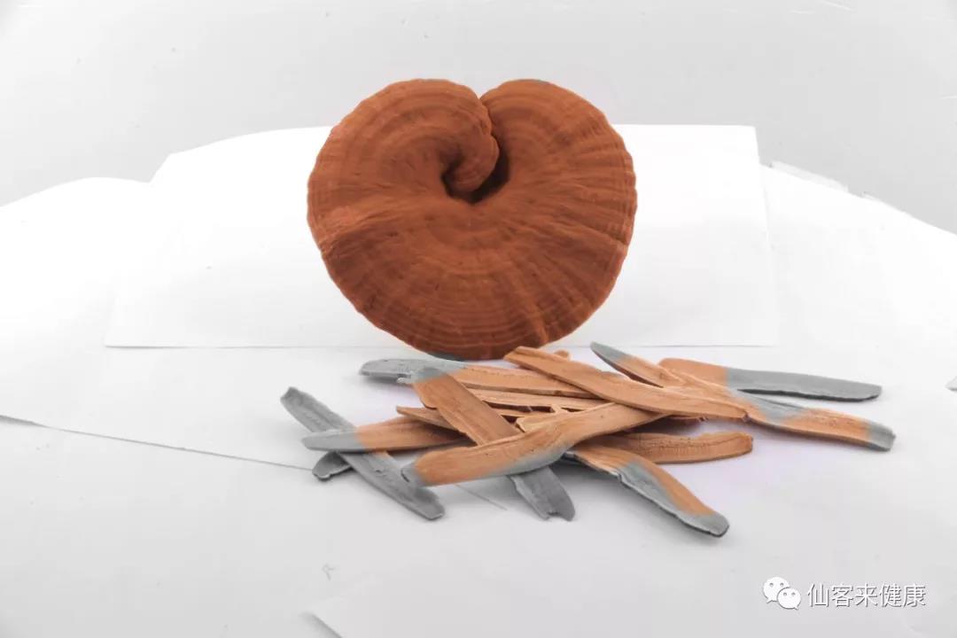 中國靈芝十大品牌|仙客來靈芝|仙客來靈芝破壁孢子粉|仙客來孢子油|仙客來靈芝飲片|仙客來破壁孢子粉|仙客來靈芝中藥飲片|馳名商標(biāo)|m.stfilm.cn|