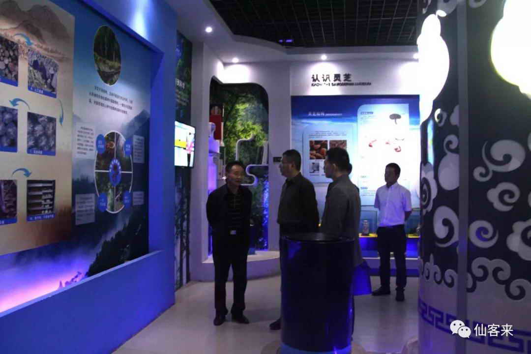 中國靈芝十大品牌|仙客來靈芝|仙客來靈芝破壁孢子粉|仙客來孢子油|仙客來靈芝飲片|仙客來破壁孢子粉|仙客來靈芝中藥飲片|馳名商標|m.stfilm.cn| 中國靈芝十大品牌|仙客來靈芝|仙客來靈芝破壁孢子粉|仙客來孢子油|仙客來靈芝飲片|仙客來破壁孢子粉|仙客來靈芝中藥飲片|馳名商標|m.stfilm.cn|