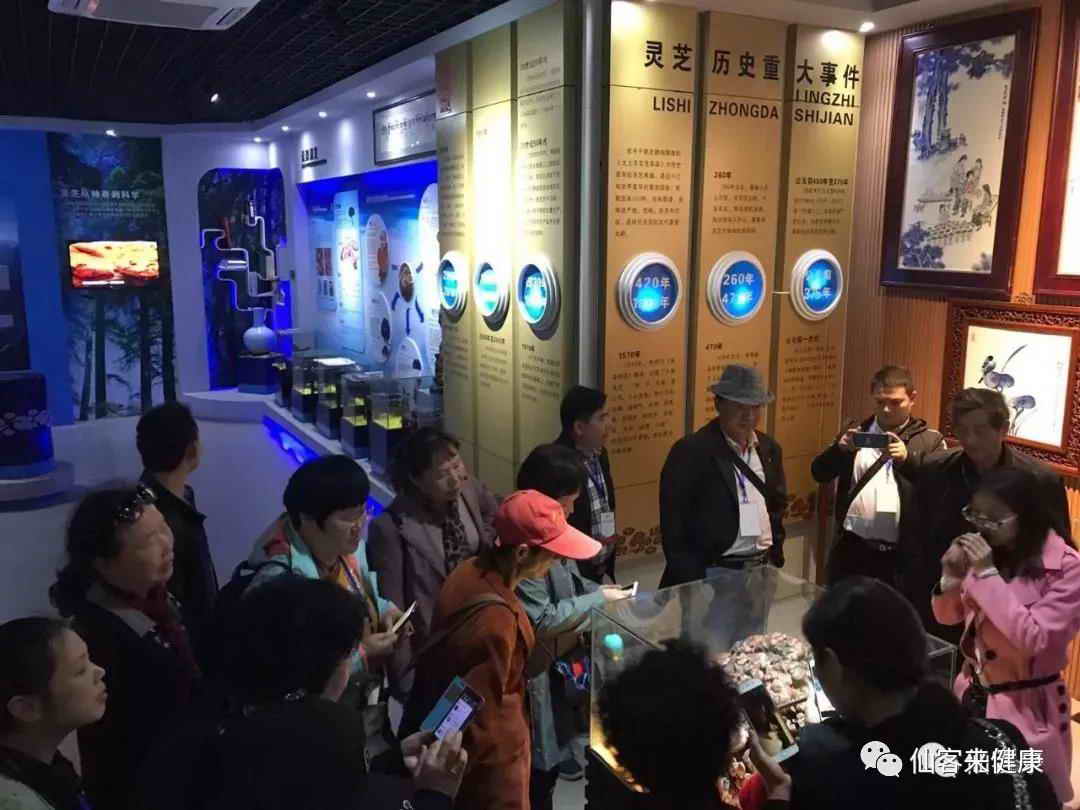 中國靈芝十大品牌|仙客來靈芝|仙客來靈芝破壁孢子粉|仙客來孢子油|仙客來靈芝飲片|仙客來破壁孢子粉|仙客來靈芝中藥飲片|馳名商標|m.stfilm.cn| 中國靈芝十大品牌|仙客來靈芝|仙客來靈芝破壁孢子粉|仙客來孢子油|仙客來靈芝飲片|仙客來破壁孢子粉|仙客來靈芝中藥飲片|馳名商標|m.stfilm.cn|