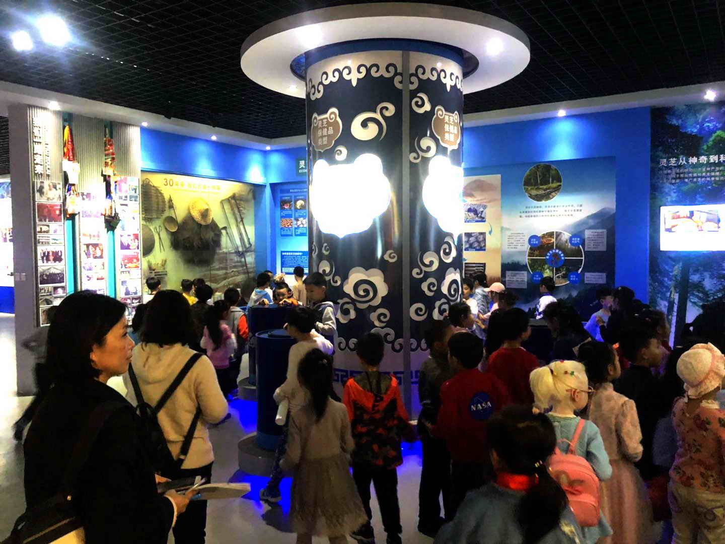 1556516768155551.jpg 杭州亞運會官方靈芝產(chǎn)品供應商|杭州亞運會官方供應商|中國靈芝十大品牌|仙客來靈芝|仙客來靈芝破壁孢子粉|仙客來孢子油|仙客來靈芝飲片|仙客來破壁孢子粉|靈芝孢子油|孢子粉|靈芝破壁孢子粉|靈芝|中華老字號