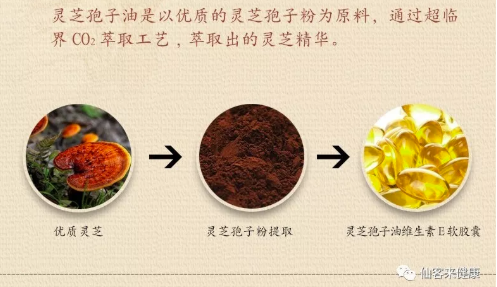 中國靈芝十大品牌|仙客來靈芝|仙客來靈芝破壁孢子粉|仙客來孢子油|仙客來靈芝飲片|仙客來破壁孢子粉|仙客來靈芝中藥飲片|馳名商標|m.stfilm.cn|