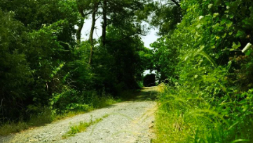 中國靈芝十大品牌|仙客來靈芝|仙客來靈芝破壁孢子粉|仙客來孢子油|仙客來靈芝飲片|仙客來破壁孢子粉|仙客來靈芝中藥飲片|馳名商標|m.stfilm.cn| 中國靈芝十大品牌|仙客來靈芝|仙客來靈芝破壁孢子粉|仙客來孢子油|仙客來靈芝飲片|仙客來破壁孢子粉|仙客來靈芝中藥飲片|馳名商標|m.stfilm.cn|