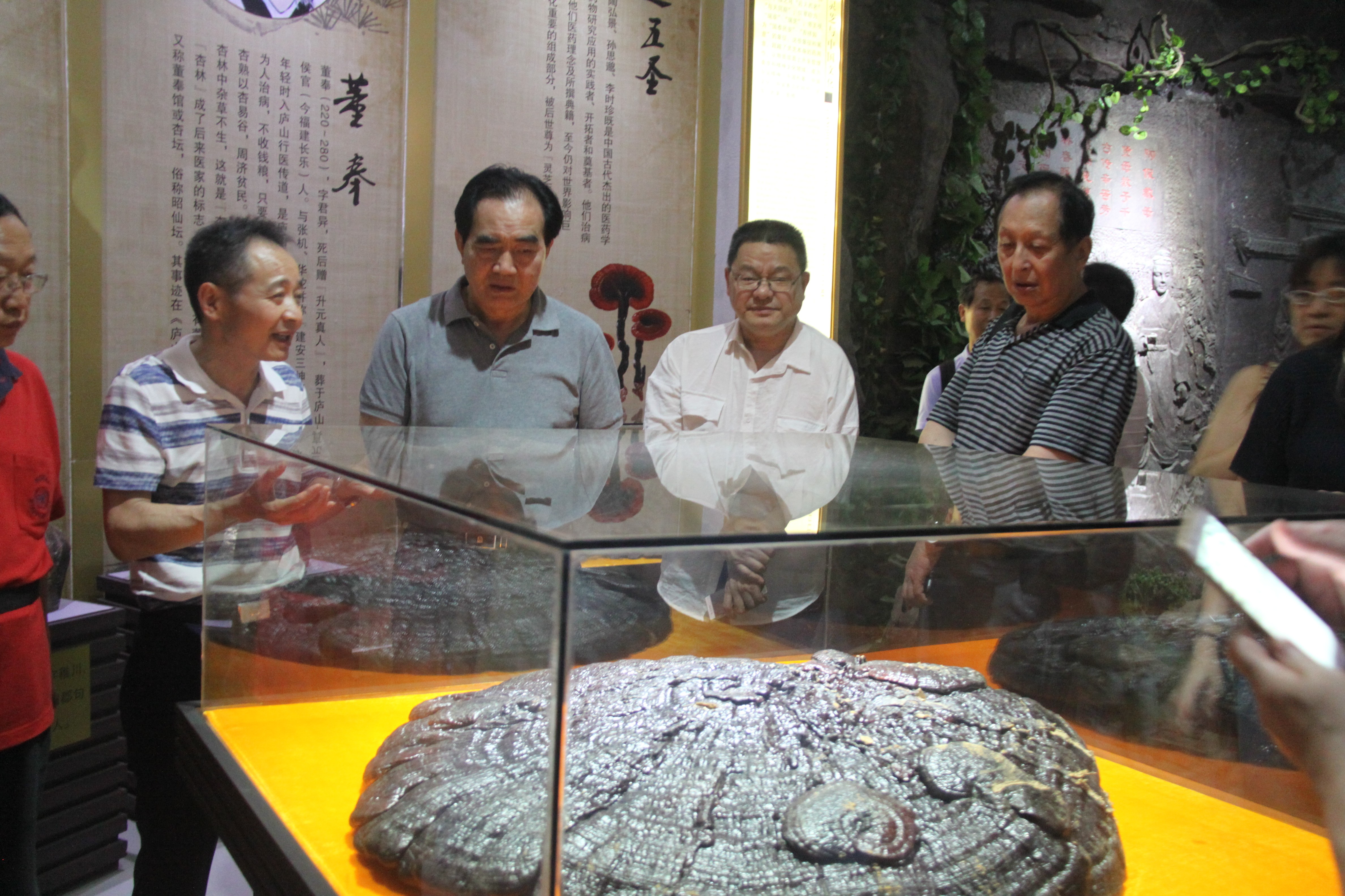 中國(guó)靈芝十大品牌|仙客來(lái)靈芝|仙客來(lái)靈芝破壁孢子粉|仙客來(lái)孢子油|仙客來(lái)靈芝飲片|仙客來(lái)破壁孢子粉|仙客來(lái)靈芝中藥飲片|馳名商標(biāo)|m.stfilm.cn| 中國(guó)靈芝十大品牌|仙客來(lái)靈芝|仙客來(lái)靈芝破壁孢子粉|仙客來(lái)孢子油|仙客來(lái)靈芝飲片|仙客來(lái)破壁孢子粉|仙客來(lái)靈芝中藥飲片|馳名商標(biāo)|m.stfilm.cn|