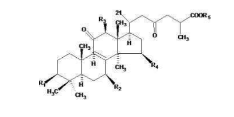 中國(guó)靈芝十大品牌|仙客來(lái)靈芝|仙客來(lái)靈芝破壁孢子粉|仙客來(lái)孢子油|仙客來(lái)靈芝飲片|仙客來(lái)破壁孢子粉|仙客來(lái)靈芝中藥飲片|馳名商標(biāo)|m.stfilm.cn|