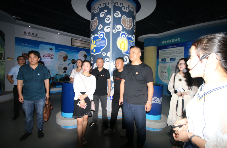 中國靈芝十大品牌|仙客來靈芝|仙客來靈芝破壁孢子粉|仙客來孢子油|仙客來靈芝飲片|仙客來破壁孢子粉|仙客來靈芝中藥飲片|馳名商標|m.stfilm.cn|