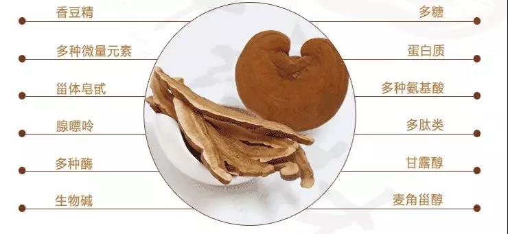 中國靈芝十大品牌|仙客來靈芝|仙客來靈芝破壁孢子粉|仙客來孢子油|仙客來靈芝飲片|仙客來破壁孢子粉|仙客來靈芝中藥飲片|馳名商標|m.stfilm.cn|