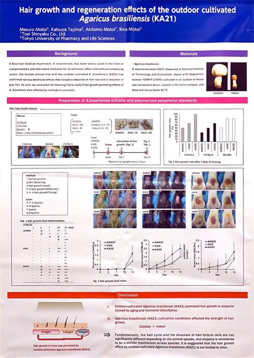 中國(guó)靈芝十大品牌|仙客來(lái)靈芝|仙客來(lái)靈芝破壁孢子粉|仙客來(lái)孢子油|仙客來(lái)靈芝飲片|仙客來(lái)破壁孢子粉|仙客來(lái)靈芝中藥飲片|馳名商標(biāo)|m.stfilm.cn|