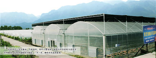 中國靈芝十大品牌|仙客來靈芝|仙客來靈芝破壁孢子粉|仙客來孢子油|仙客來靈芝飲片|仙客來破壁孢子粉|仙客來靈芝中藥飲片|馳名商標(biāo)|m.stfilm.cn| 中國靈芝十大品牌|仙客來靈芝|仙客來靈芝破壁孢子粉|仙客來孢子油|仙客來靈芝飲片|仙客來破壁孢子粉|仙客來靈芝中藥飲片|馳名商標(biāo)|m.stfilm.cn|