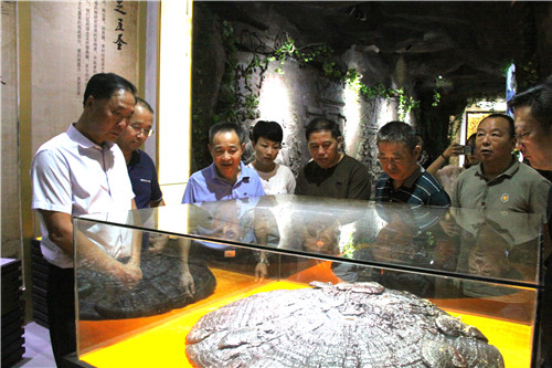 中國(guó)靈芝十大品牌|仙客來(lái)靈芝|仙客來(lái)靈芝破壁孢子粉|仙客來(lái)孢子油|仙客來(lái)靈芝飲片|仙客來(lái)破壁孢子粉|仙客來(lái)靈芝中藥飲片|馳名商標(biāo)|m.stfilm.cn| 中國(guó)靈芝十大品牌|仙客來(lái)靈芝|仙客來(lái)靈芝破壁孢子粉|仙客來(lái)孢子油|仙客來(lái)靈芝飲片|仙客來(lái)破壁孢子粉|仙客來(lái)靈芝中藥飲片|馳名商標(biāo)|m.stfilm.cn|