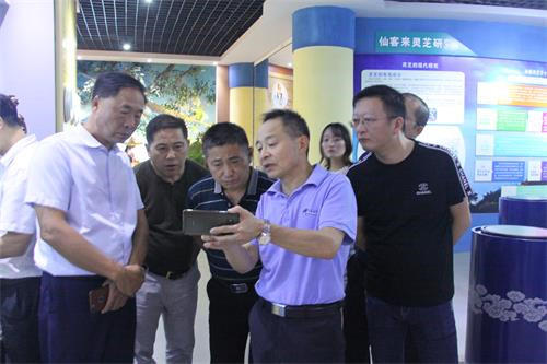 中國(guó)靈芝十大品牌|仙客來(lái)靈芝|仙客來(lái)靈芝破壁孢子粉|仙客來(lái)孢子油|仙客來(lái)靈芝飲片|仙客來(lái)破壁孢子粉|仙客來(lái)靈芝中藥飲片|馳名商標(biāo)|m.stfilm.cn| 中國(guó)靈芝十大品牌|仙客來(lái)靈芝|仙客來(lái)靈芝破壁孢子粉|仙客來(lái)孢子油|仙客來(lái)靈芝飲片|仙客來(lái)破壁孢子粉|仙客來(lái)靈芝中藥飲片|馳名商標(biāo)|m.stfilm.cn|