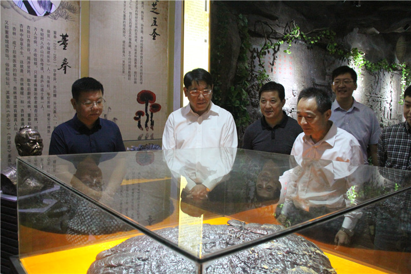 中國靈芝十大品牌|仙客來靈芝|仙客來靈芝破壁孢子粉|仙客來孢子油|仙客來靈芝飲片|仙客來破壁孢子粉|仙客來靈芝中藥飲片|馳名商標|m.stfilm.cn|