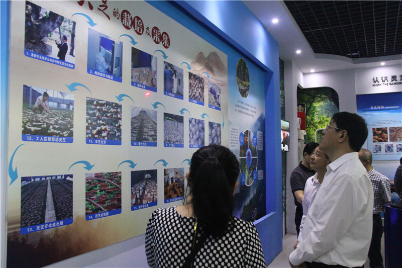 中國靈芝十大品牌|仙客來靈芝|仙客來靈芝破壁孢子粉|仙客來孢子油|仙客來靈芝飲片|仙客來破壁孢子粉|仙客來靈芝中藥飲片|馳名商標|m.stfilm.cn|