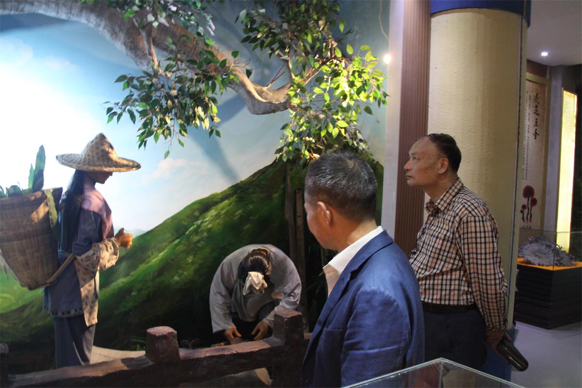 中國靈芝十大品牌|仙客來靈芝|仙客來靈芝破壁孢子粉|仙客來孢子油|仙客來靈芝飲片|仙客來破壁孢子粉|仙客來靈芝中藥飲片|馳名商標(biāo)|m.stfilm.cn|