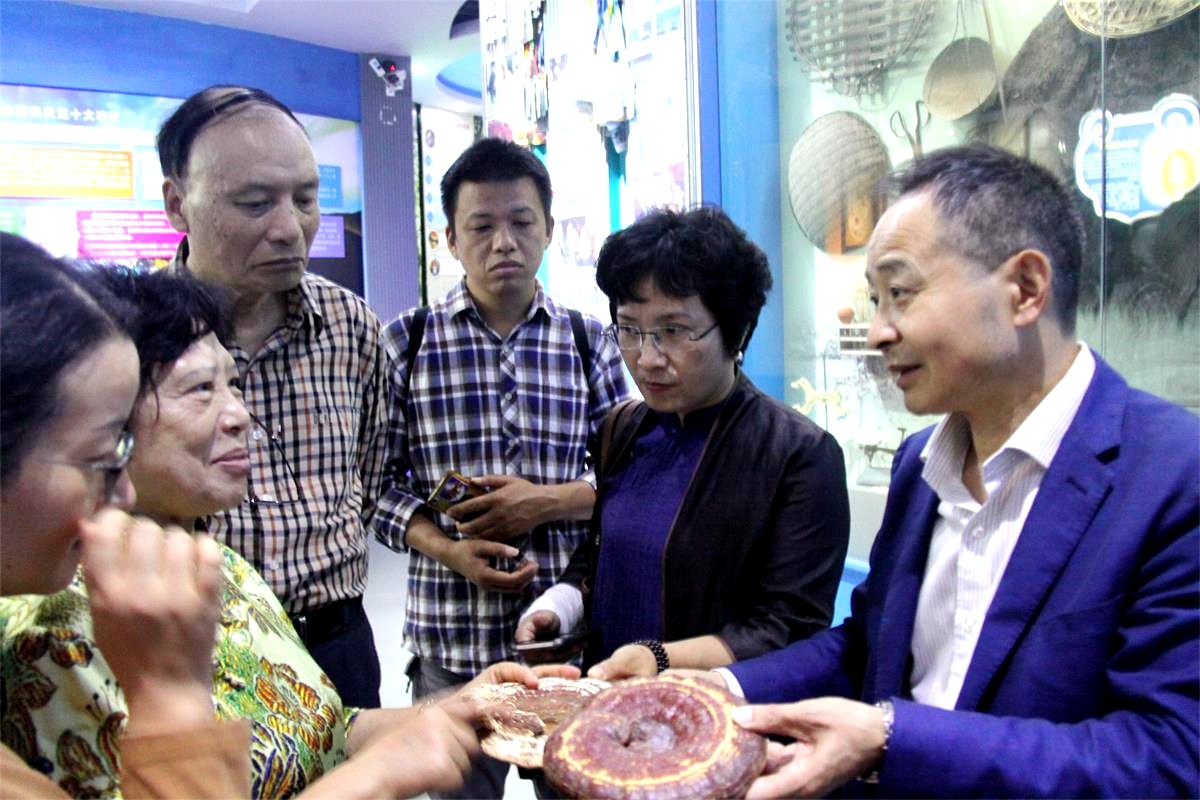 中國靈芝十大品牌|仙客來靈芝|仙客來靈芝破壁孢子粉|仙客來孢子油|仙客來靈芝飲片|仙客來破壁孢子粉|仙客來靈芝中藥飲片|馳名商標(biāo)|m.stfilm.cn|