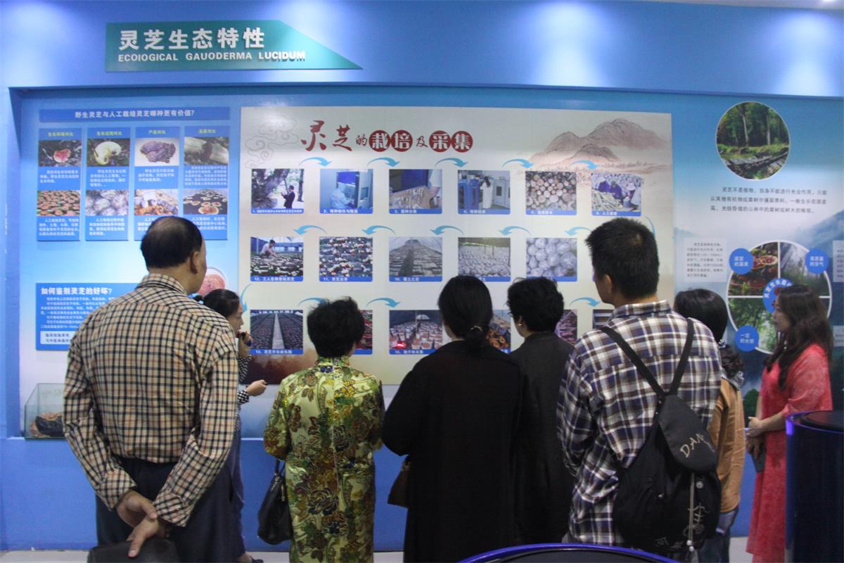 中國靈芝十大品牌|仙客來靈芝|仙客來靈芝破壁孢子粉|仙客來孢子油|仙客來靈芝飲片|仙客來破壁孢子粉|仙客來靈芝中藥飲片|馳名商標(biāo)|m.stfilm.cn|