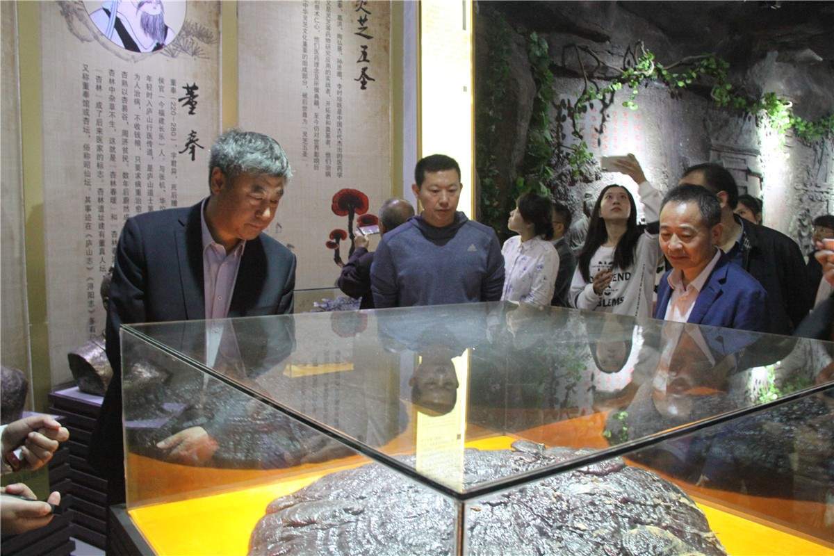 中國(guó)靈芝十大品牌|仙客來(lái)靈芝|仙客來(lái)靈芝破壁孢子粉|仙客來(lái)孢子油|仙客來(lái)靈芝飲片|仙客來(lái)破壁孢子粉|仙客來(lái)靈芝中藥飲片|馳名商標(biāo)|m.stfilm.cn|