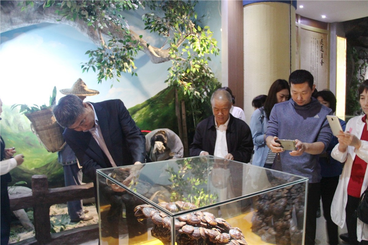 中國(guó)靈芝十大品牌|仙客來(lái)靈芝|仙客來(lái)靈芝破壁孢子粉|仙客來(lái)孢子油|仙客來(lái)靈芝飲片|仙客來(lái)破壁孢子粉|仙客來(lái)靈芝中藥飲片|馳名商標(biāo)|m.stfilm.cn|