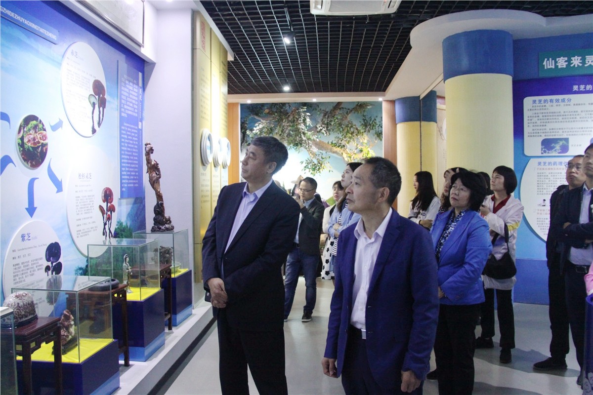 中國(guó)靈芝十大品牌|仙客來(lái)靈芝|仙客來(lái)靈芝破壁孢子粉|仙客來(lái)孢子油|仙客來(lái)靈芝飲片|仙客來(lái)破壁孢子粉|仙客來(lái)靈芝中藥飲片|馳名商標(biāo)|m.stfilm.cn|