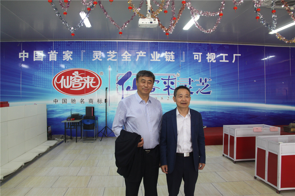 中國(guó)靈芝十大品牌|仙客來(lái)靈芝|仙客來(lái)靈芝破壁孢子粉|仙客來(lái)孢子油|仙客來(lái)靈芝飲片|仙客來(lái)破壁孢子粉|仙客來(lái)靈芝中藥飲片|馳名商標(biāo)|m.stfilm.cn|