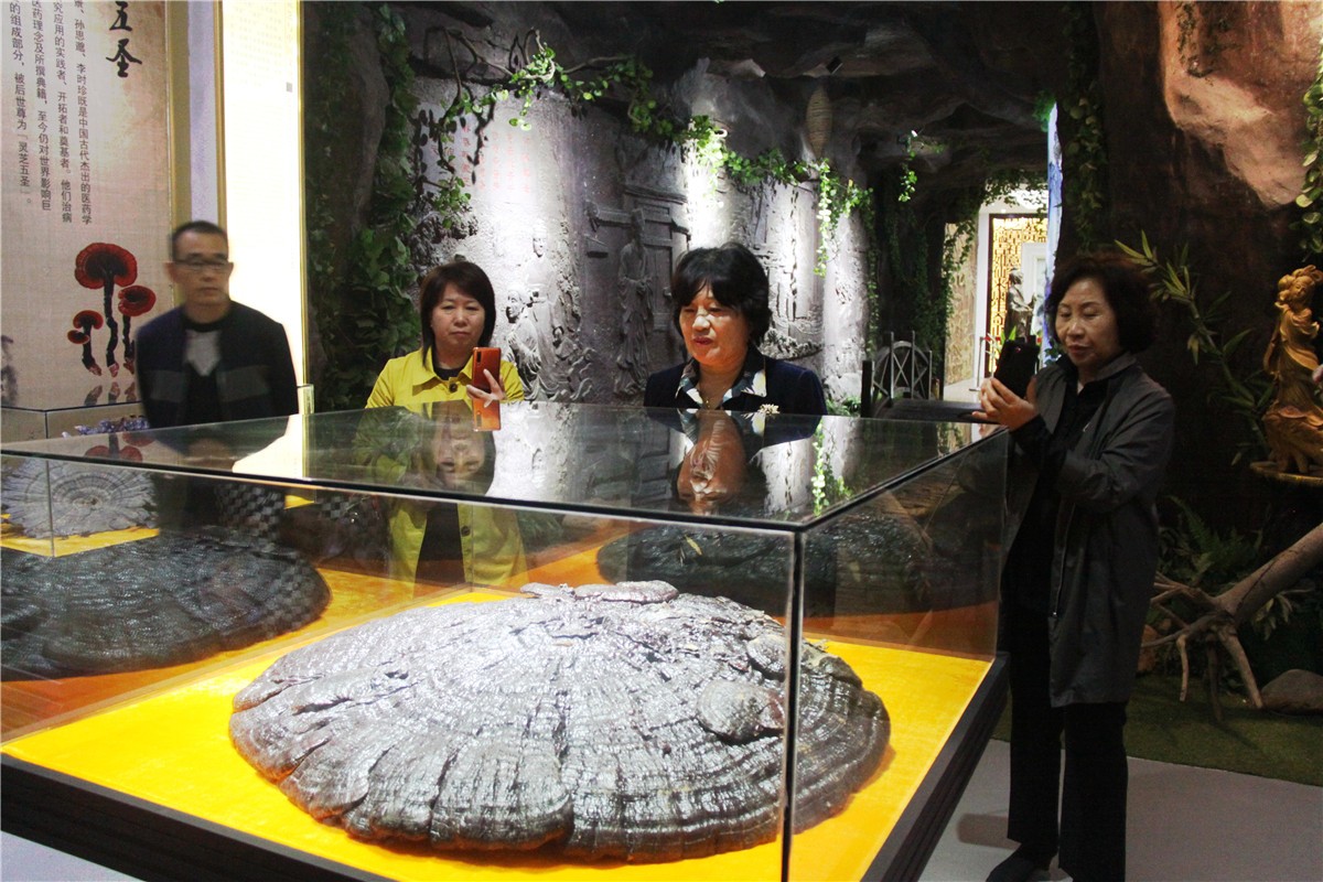 中國(guó)靈芝十大品牌|仙客來(lái)靈芝|仙客來(lái)靈芝破壁孢子粉|仙客來(lái)孢子油|仙客來(lái)靈芝飲片|仙客來(lái)破壁孢子粉|仙客來(lái)靈芝中藥飲片|馳名商標(biāo)|m.stfilm.cn| 中國(guó)靈芝十大品牌|仙客來(lái)靈芝|仙客來(lái)靈芝破壁孢子粉|仙客來(lái)孢子油|仙客來(lái)靈芝飲片|仙客來(lái)破壁孢子粉|仙客來(lái)靈芝中藥飲片|馳名商標(biāo)|m.stfilm.cn|