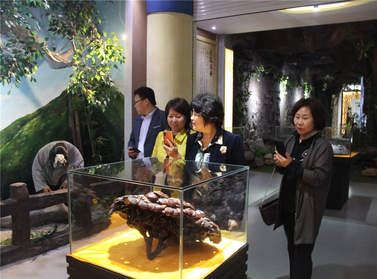 中國(guó)靈芝十大品牌|仙客來(lái)靈芝|仙客來(lái)靈芝破壁孢子粉|仙客來(lái)孢子油|仙客來(lái)靈芝飲片|仙客來(lái)破壁孢子粉|仙客來(lái)靈芝中藥飲片|馳名商標(biāo)|m.stfilm.cn| 中國(guó)靈芝十大品牌|仙客來(lái)靈芝|仙客來(lái)靈芝破壁孢子粉|仙客來(lái)孢子油|仙客來(lái)靈芝飲片|仙客來(lái)破壁孢子粉|仙客來(lái)靈芝中藥飲片|馳名商標(biāo)|m.stfilm.cn|