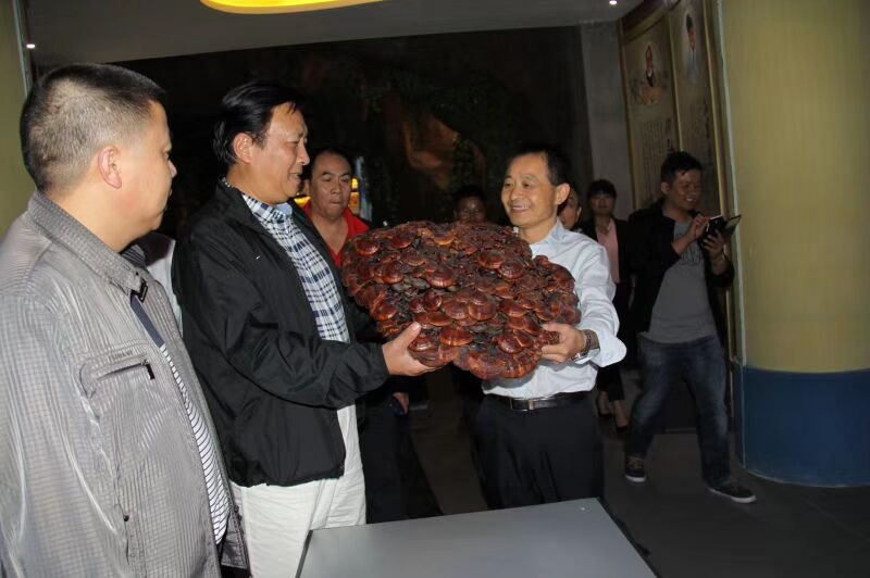 中國靈芝十大品牌|仙客來靈芝|仙客來靈芝破壁孢子粉|仙客來孢子油|仙客來靈芝飲片|仙客來破壁孢子粉|仙客來靈芝中藥飲片|馳名商標|m.stfilm.cn|