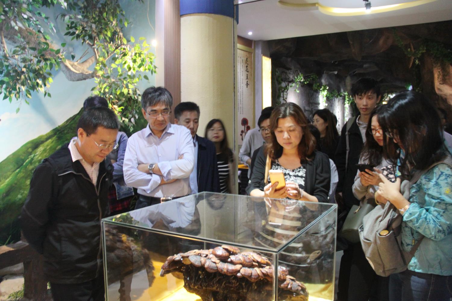 中國靈芝十大品牌|仙客來靈芝|仙客來靈芝破壁孢子粉|仙客來孢子油|仙客來靈芝飲片|仙客來破壁孢子粉|仙客來靈芝中藥飲片|馳名商標(biāo)|m.stfilm.cn|