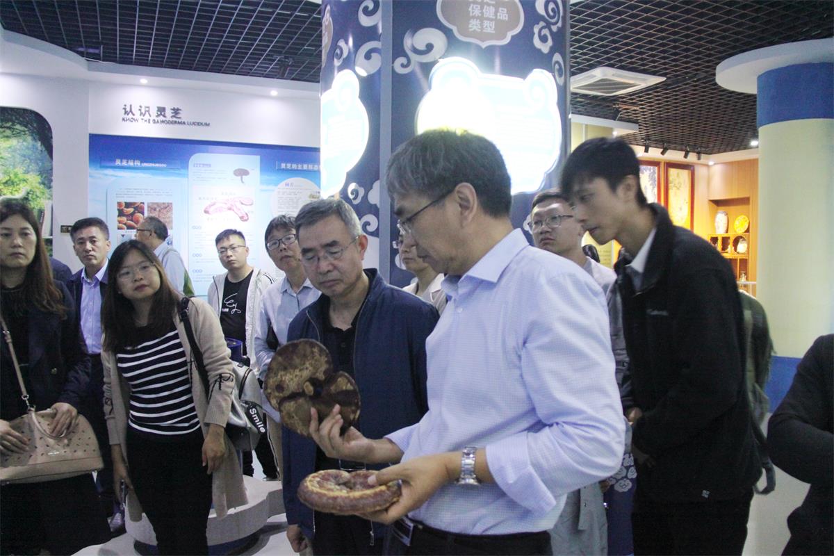 中國靈芝十大品牌|仙客來靈芝|仙客來靈芝破壁孢子粉|仙客來孢子油|仙客來靈芝飲片|仙客來破壁孢子粉|仙客來靈芝中藥飲片|馳名商標(biāo)|m.stfilm.cn|