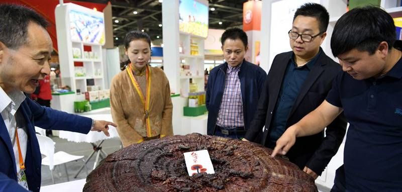 中國靈芝十大品牌|仙客來靈芝|仙客來靈芝破壁孢子粉|仙客來孢子油|仙客來靈芝飲片|仙客來破壁孢子粉|仙客來靈芝中藥飲片|馳名商標(biāo)|m.stfilm.cn|