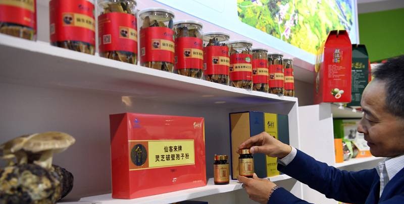 中國靈芝十大品牌|仙客來靈芝|仙客來靈芝破壁孢子粉|仙客來孢子油|仙客來靈芝飲片|仙客來破壁孢子粉|仙客來靈芝中藥飲片|馳名商標(biāo)|m.stfilm.cn|