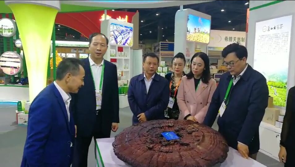 中國靈芝十大品牌|仙客來靈芝|仙客來靈芝破壁孢子粉|仙客來孢子油|仙客來靈芝飲片|仙客來破壁孢子粉|仙客來靈芝中藥飲片|馳名商標(biāo)|m.stfilm.cn|