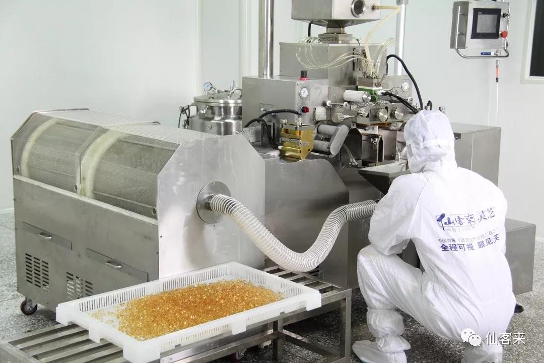 中國(guó)靈芝十大品牌|仙客來(lái)靈芝|仙客來(lái)靈芝破壁孢子粉|仙客來(lái)孢子油|仙客來(lái)靈芝飲片|仙客來(lái)破壁孢子粉|仙客來(lái)靈芝中藥飲片|馳名商標(biāo)|m.stfilm.cn|