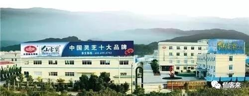 中國(guó)靈芝十大品牌|仙客來(lái)靈芝|仙客來(lái)靈芝破壁孢子粉|仙客來(lái)孢子油|仙客來(lái)靈芝飲片|仙客來(lái)破壁孢子粉|仙客來(lái)靈芝中藥飲片|馳名商標(biāo)|m.stfilm.cn|