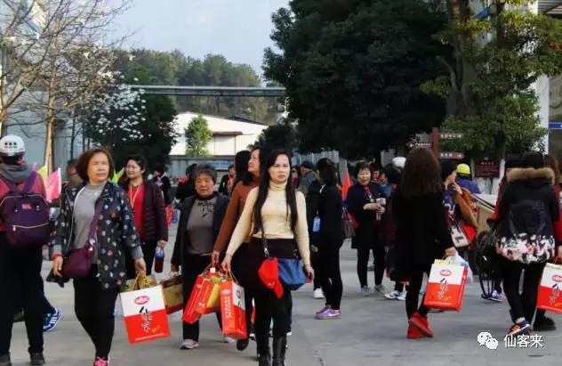 中國(guó)靈芝十大品牌|仙客來(lái)靈芝|仙客來(lái)靈芝破壁孢子粉|仙客來(lái)孢子油|仙客來(lái)靈芝飲片|仙客來(lái)破壁孢子粉|仙客來(lái)靈芝中藥飲片|馳名商標(biāo)|m.stfilm.cn|