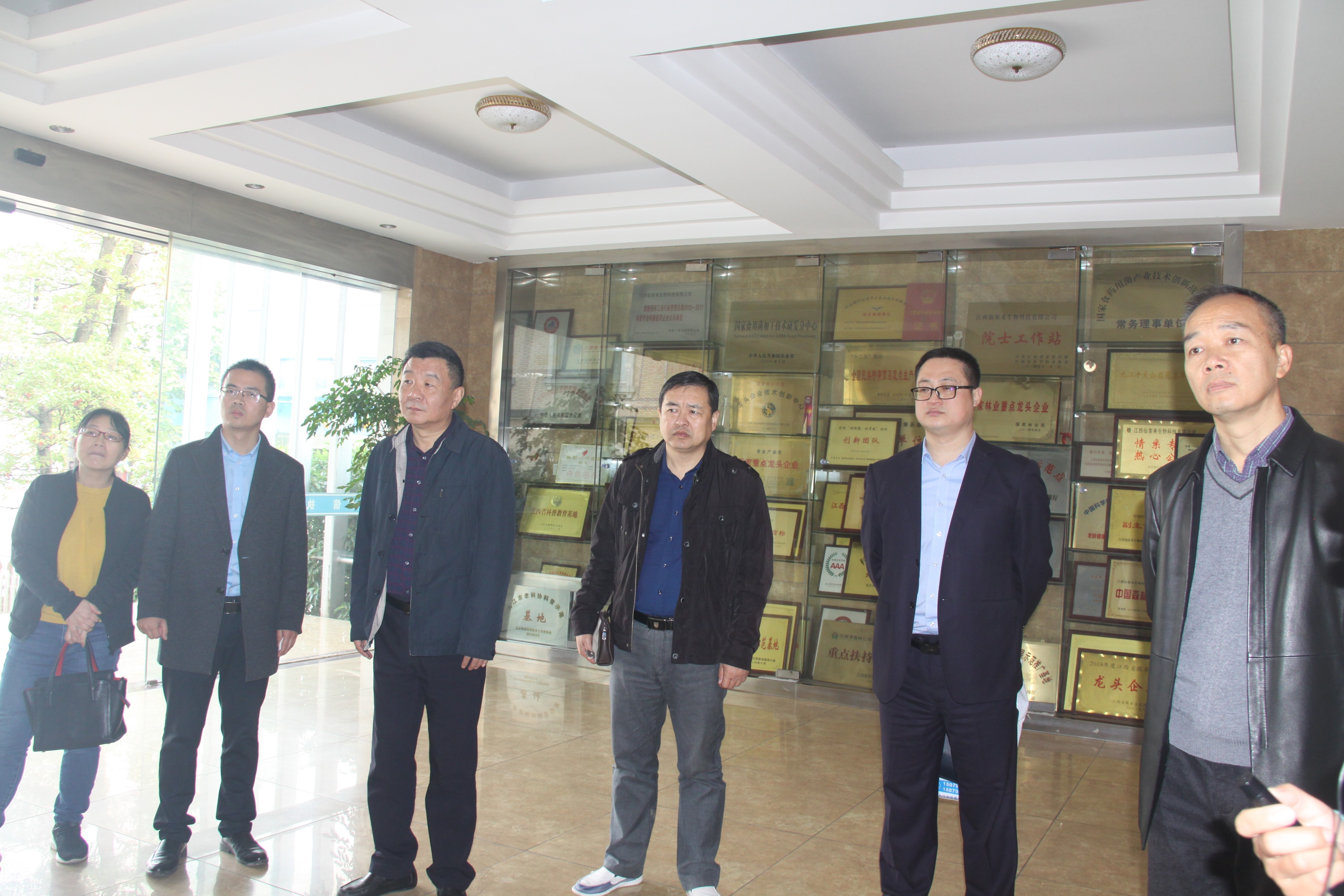 杭州亞運會官方靈芝產(chǎn)品供應商|杭州亞運會官方供應商|中國靈芝十大品牌|仙客來靈芝|仙客來靈芝破壁孢子粉|仙客來孢子油|仙客來靈芝飲片|仙客來破壁孢子粉|靈芝孢子油|孢子粉|靈芝破壁孢子粉|靈芝|中華老字號 杭州亞運會官方靈芝產(chǎn)品供應商|杭州亞運會官方供應商|中國靈芝十大品牌|仙客來靈芝|仙客來靈芝破壁孢子粉|仙客來孢子油|仙客來靈芝飲片|仙客來破壁孢子粉|靈芝孢子油|孢子粉|靈芝破壁孢子粉|靈芝|中華老字號